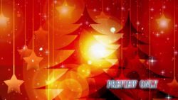 Read more about the article Holiday Season Christmas Trees Motion