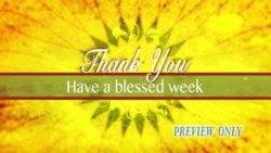 Read more about the article Free Thanksgiving Day Closer Video