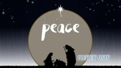 Read more about the article Peace On Earth: Christmas Nativity