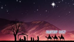 Read more about the article Christmas Advent: Nativity Scene