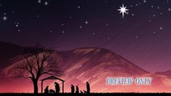 Read more about the article Christmas Nativity Background: The Shepherds