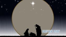 Read more about the article Nativity Scene Under The Star Light
