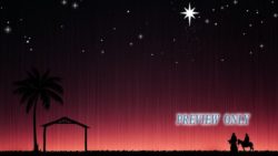 Read more about the article Empty Stable Motion: Mary And Joseph