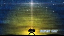 Miracle At Night: Baby In Manger