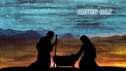 Read more about the article Large Christmas Nativity Scene Background