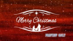 Read more about the article Merry Christmas Red Textured Title
