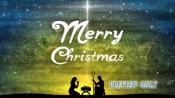 Read more about the article Merry Christmas Text Nativity Background