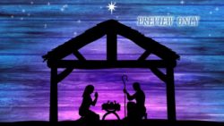 Read more about the article Large Christmas Nativity At Night Background