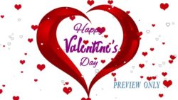 Read more about the article Happy Valentines Day Text Video Background