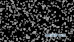 Read more about the article White Particles On Black Backdrop