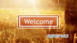 Read more about the article Glorious Morning Welcome Background