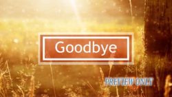 Read more about the article Golden Sun And Nature Goodbye Text