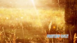 Read more about the article New Day Dawning Near The Cross Background