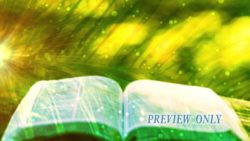 Read more about the article Palm Sunday Open Bible Motion Background