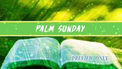 Read more about the article Palm Sunday Title Text Background