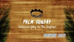 Read more about the article Hosanna Glory In The Highest Palm Sunday