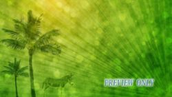 Read more about the article Palm Sunday Motion Background Donkey