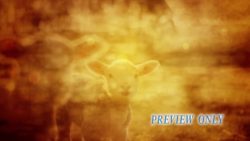 Read more about the article Lamb Of God Vintage Easter Loop