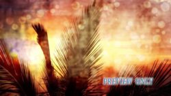 Read more about the article Vintage Palm Sunday Motion Loop