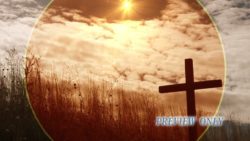 Read more about the article Wooden Cross And Tall Grass Easter Video