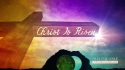 Read more about the article Still Backdrop: Christ Is Risen