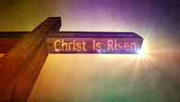 Read more about the article Still: Jesus Is Risen