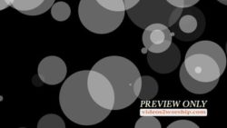 Read more about the article Large Particles On Black Backdrop