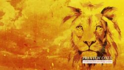 Read more about the article Jesus The Lion Worship Background