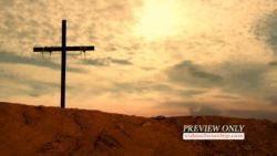 Read more about the article Good Friday Cross Motion Worship
