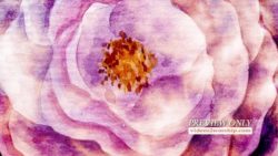 Read more about the article Free Mothers Day Watercolor Background