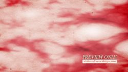 Read more about the article Red Ink Watercolor Background