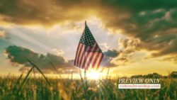 Read more about the article American Patriotic Flag Motion