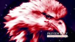 Read more about the article Free Eagle Head Patriotic Background