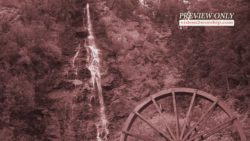 Read more about the article Water Wheel Nature Motion Video