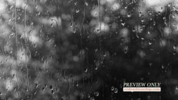 Rain Drops Black And White Motion