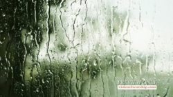Read more about the article Rain On The Window Motion Loop