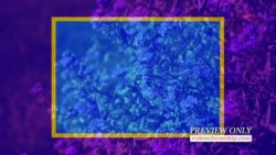 Read more about the article Still: Nature Shapes Image Slide