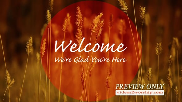 Read more about the article Autumn Welcome Church Motion