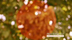 Read more about the article Blurred Tree Leaves Church Media