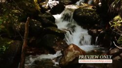 Read more about the article Mountain Creek And Autumn Leaves