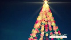 Read more about the article Free Abstract Christmas Tree Background