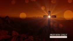 Read more about the article Still: Cross And Sun