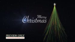 Read more about the article Still: Merry Christmas