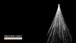 Read more about the article Still: White Christmas Tree Image