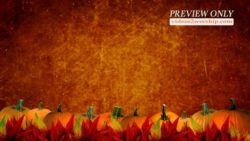 Read more about the article Pumpkins And Dust Particles Motion