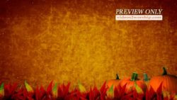 Read more about the article Three Pumpkins Grunge Motion Graphics