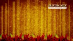 Read more about the article Abstract Thanksgiving Forest Video