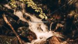Mountain River