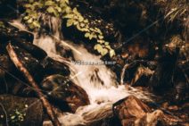 Read more about the article Stock Photography Mountain River