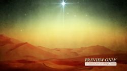 Read more about the article Bright Christmas Star Over The Desert